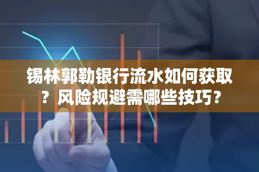 锡林郭勒银行流水如何获取?风险规避需哪些技巧?