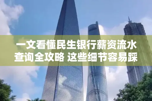 一文看懂民生银行薪资流水查询全攻略 这些细节容易踩雷