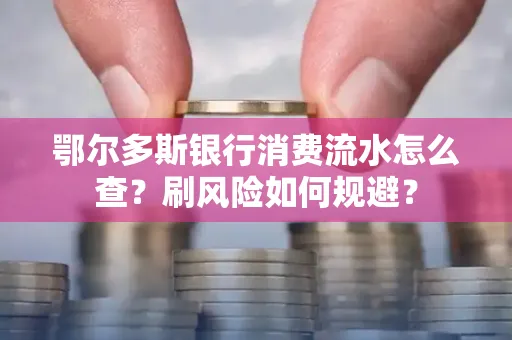 鄂尔多斯银行消费流水怎么查?刷风险如何规避?