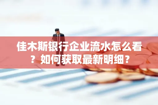 佳木斯银行企业流水怎么看?如何获取最新明细?