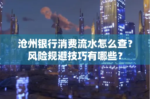 沧州银行消费流水怎么查?风险规避技巧有哪些?