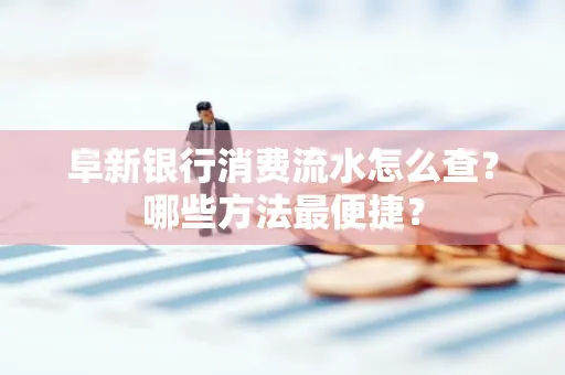 阜新银行消费流水怎么查?哪些方法最便捷?