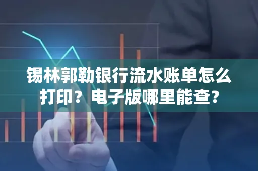 锡林郭勒银行流水账单怎么打印?电子版哪里能查?