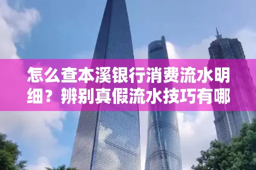 怎么查本溪银行消费流水明细?辨别真假流水技巧有哪些?