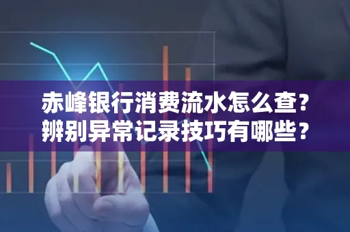 赤峰银行消费流水怎么查?辨别异常记录技巧有哪些?